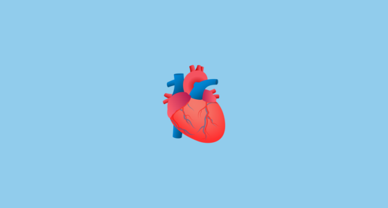 🫀 Coração Humano Emoji on JoyPixels 6.6