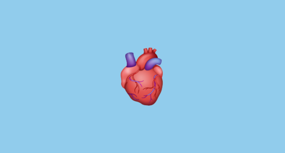 🫀 Corazón Humano Emoji on WhatsApp 2.20.206.24