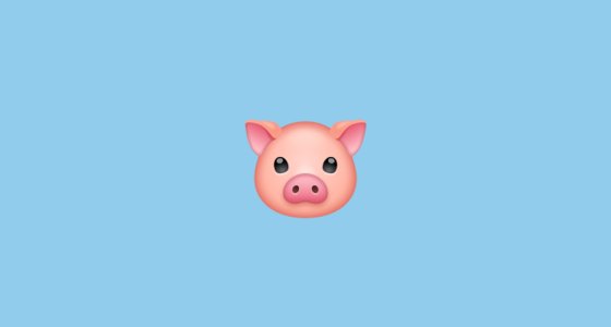 🐷 Pig Face Emoji on WhatsApp 2.21.23.23