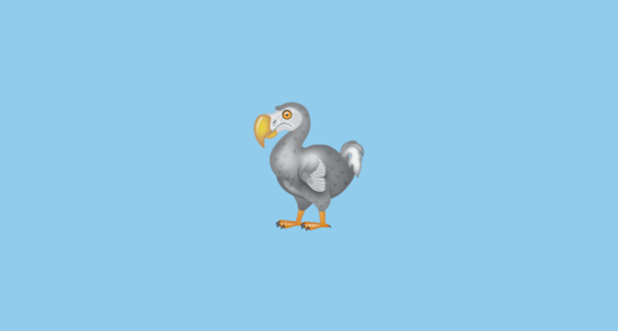🦤 Dodo Emoji on WhatsApp 2.22.8.79
