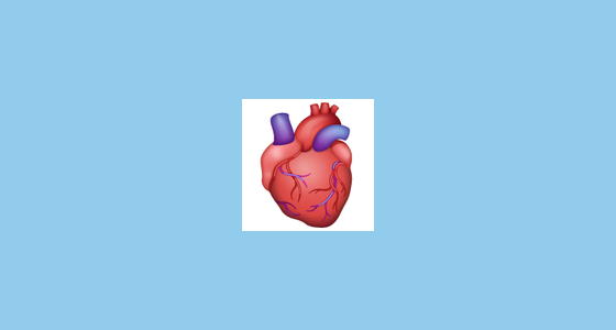 🫀 Coração Humano Emoji on WhatsApp 2.23.2.72