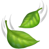 leaves