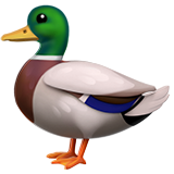:duck: