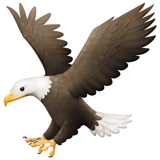 ◡̈*✧Eagle 🦅 Eagle on Facebook 4.0