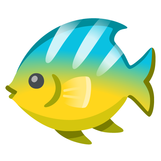 17.0
