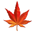 🍁 Hoja De Arce en Huawei HarmonyOS 5.0