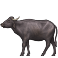 🐃 Water Buffalo Emoji