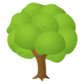 🌳 Deciduous Tree Emoji