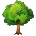 Arbre &agrave; feuilles caduques