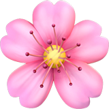 Cherry Blossom on Apple iOS 11.3