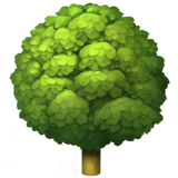 Deciduous Tree on Apple iOS 11.3