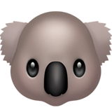 Koala on Apple iOS 11.3