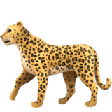 Leopard on Apple iOS 11.3