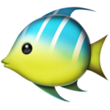 Tropical Fish on Apple iOS 11.3