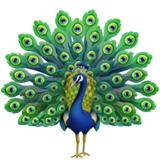 Peacock on Apple iOS 12.1