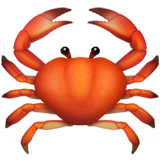 Crab on Apple iOS 13.1