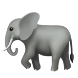 Elephant on Apple iOS 13.1