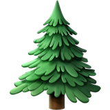 Evergreen Tree on Apple iOS 13.1