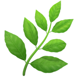 Herb on Apple iOS 13.1