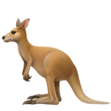 Kangaroo on Apple iOS 13.1