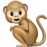Monkey on Apple iOS 13.1