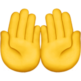 Palms Up Together on Apple iOS 13.1