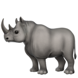 Rhinoceros on Apple iOS 13.1