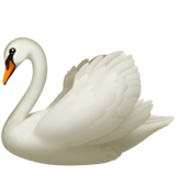 Swan on Apple iOS 13.1