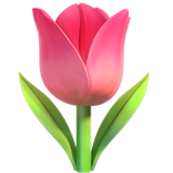 Tulip on Apple iOS 13.1