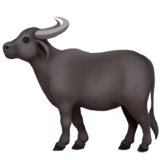 Water Buffalo on Apple iOS 13.1