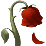 Wilted Flower on Apple iOS 13.1