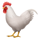Rooster on Apple iOS 13.3