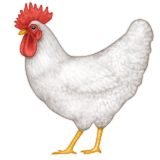 Rooster on Apple iOS 9.0