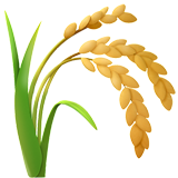 Sheaf of Rice on Apple iOS 14.2