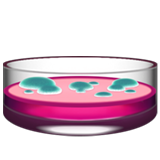 Petri Dish on Apple iOS 15.4