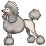 Poodle on Apple iOS 9.1
