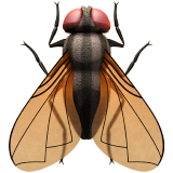 🪰 Fly Emoji on Apple iOS 16.4