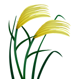 Sheaf of Rice on Apple iOS 10.0