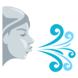 Wind Face on JoyPixels 3.1