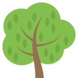 Deciduous Tree on JoyPixels 2.2.4