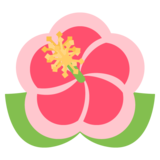 Hibiscus on JoyPixels 2.2.5