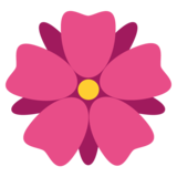 Rosette on JoyPixels 2.2.5