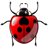 Lady Beetle on emojidex 1.0.19