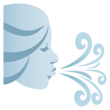 Wind Face on JoyPixels 4.0
