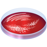 Petri Dish on Emojipedia Sample Images 11.0