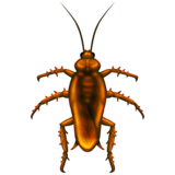 Cockroach on Emojipedia Sample Images 13.0