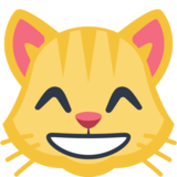 Grinning Cat with Smiling Eyes on Facebook 2.1