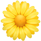Blossom on Facebook 3.1