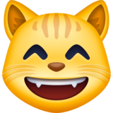 Grinning Cat with Smiling Eyes on Facebook 3.1