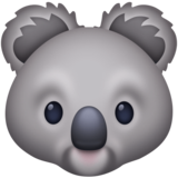 Koala on Facebook 3.1